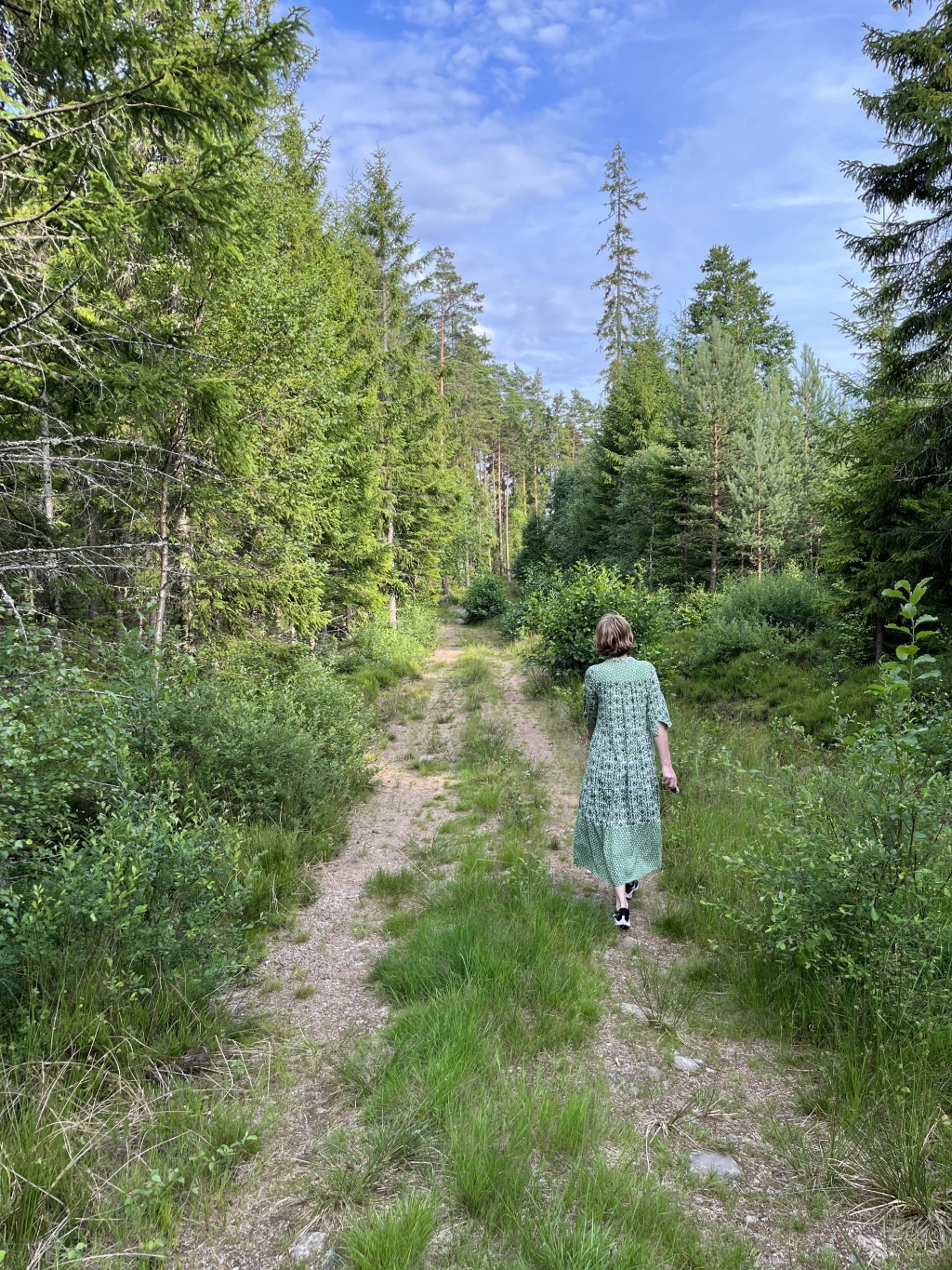 Our Swedish summer adventure